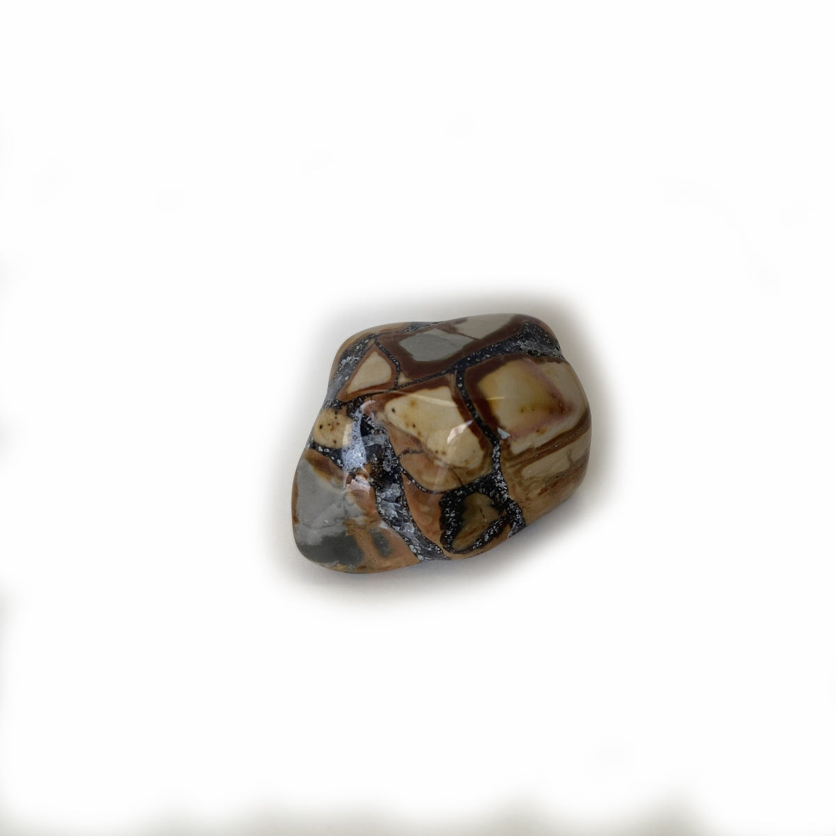 Crystals, Stones & Gems | Polished Pebble | Dendritic Agate