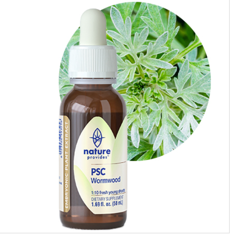 Nature Provides Plant Stems Cells Wormwood 50ml