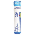 Boiron Arum Triphyllum Homeopathic 30c 80 Pellets