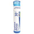 Boiron Symphytum Officinale Homeopathic 30c 80 pellets*