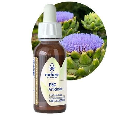 Nature Provides | Plant Stem Cell Complex | Artichoke (Cynara scolymus)