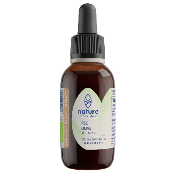 Nature Provides Plant Stem Cell Olive