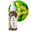Nature Provides Plant Stem Cell Linden Tree
