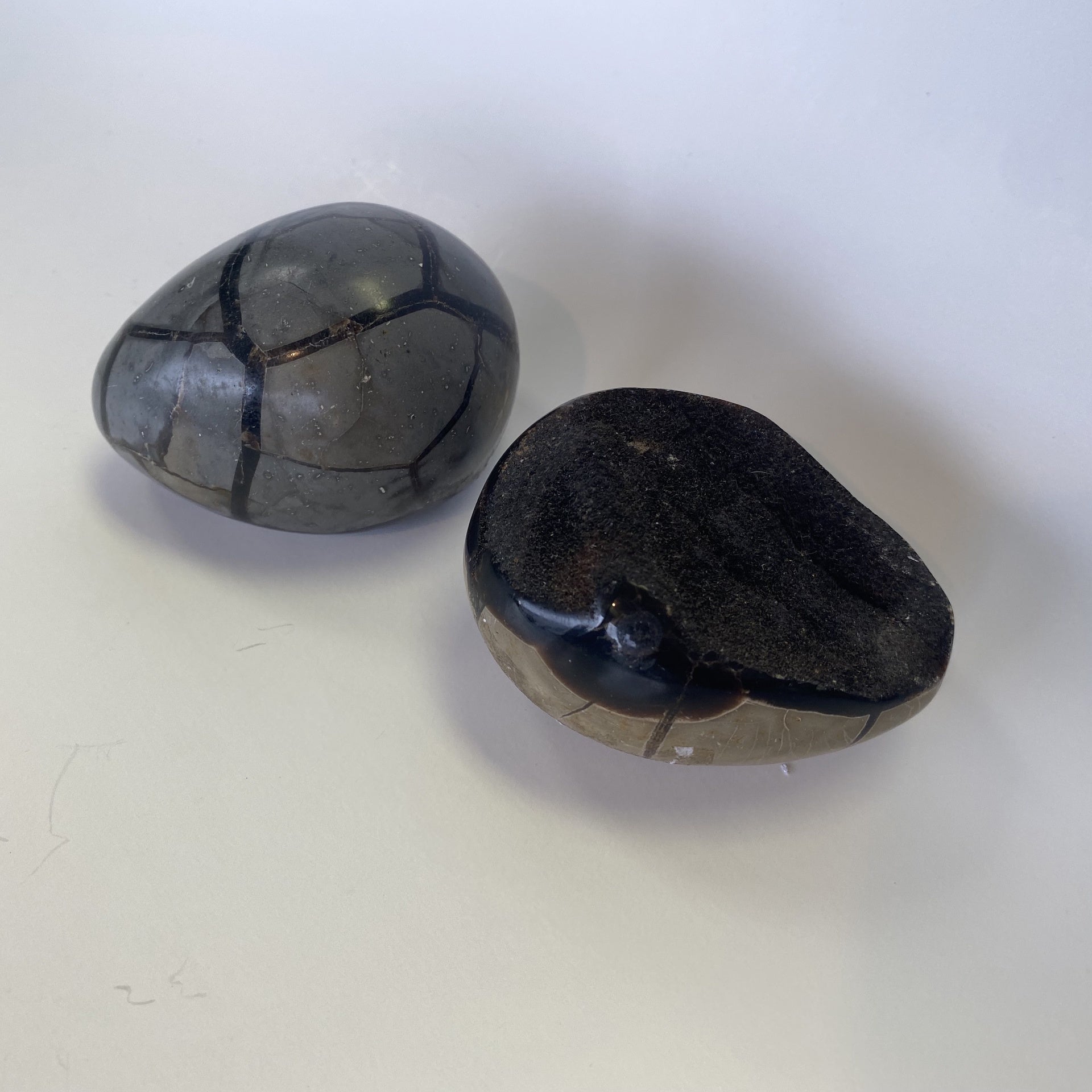 Crystals, Stones & Gems | Septarian Dragon Egg | Semi-Precious Gem Stone