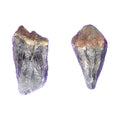 Crystals, Stones & Gems, Raw Cut Red Capped Amethyst on white background