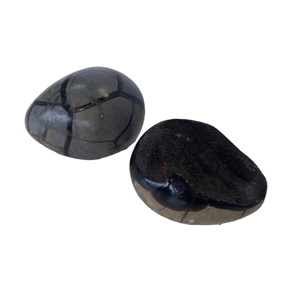 Crystals, Stones & Gems | Septarian Dragon Egg | Semi-Precious Gem Stone on white background